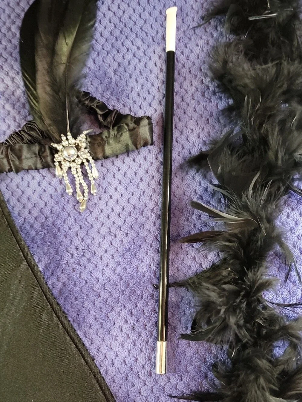 NWOT 1920's Flapper Costume
